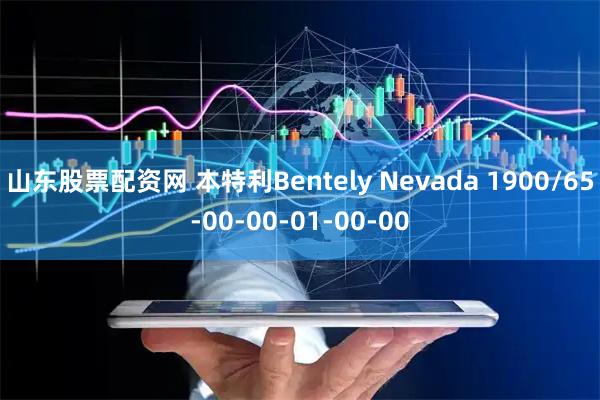 山东股票配资网 本特利Bentely Nevada 1900/65-00-00-01-00-00