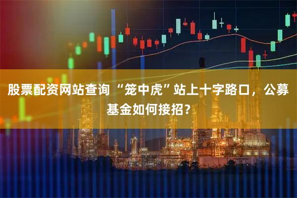 股票配资网站查询 “笼中虎”站上十字路口，公募基金如何接招？